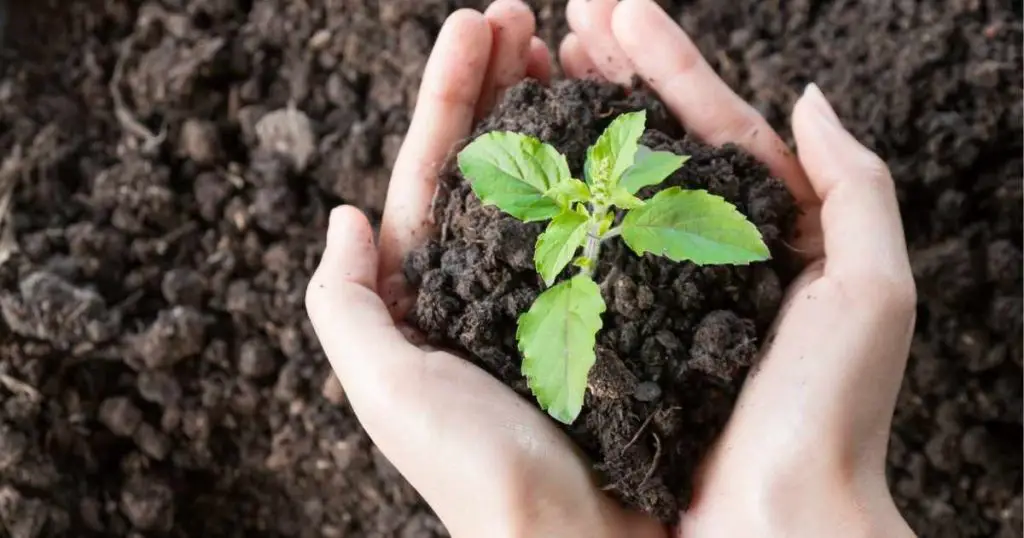 What Is Plant-Based Meat Made Of