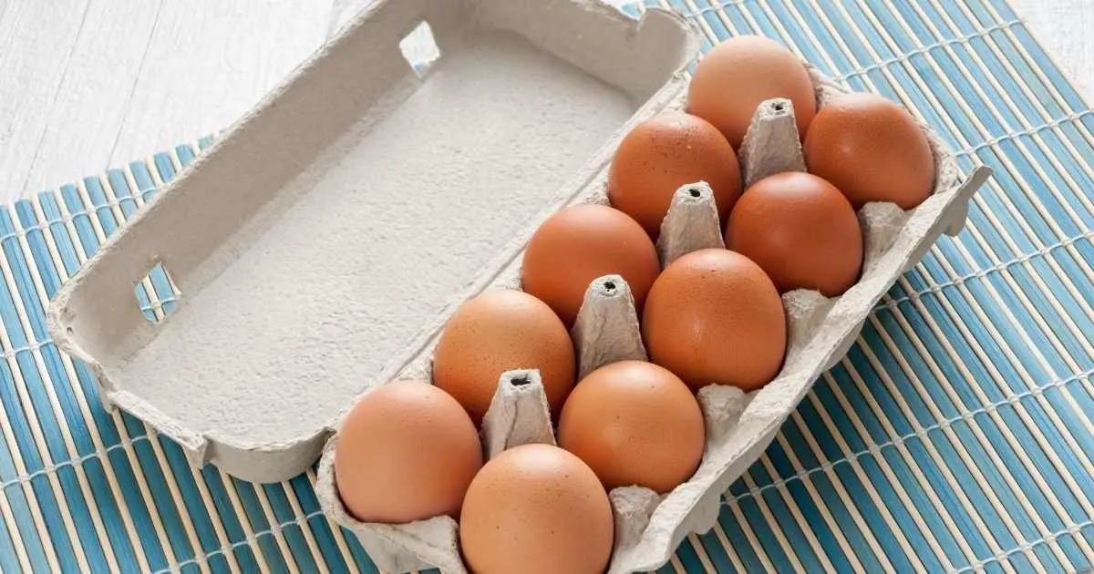 Are Eggs Healthy For Vegetarians? The Pros And Cons Of Eating Eggs