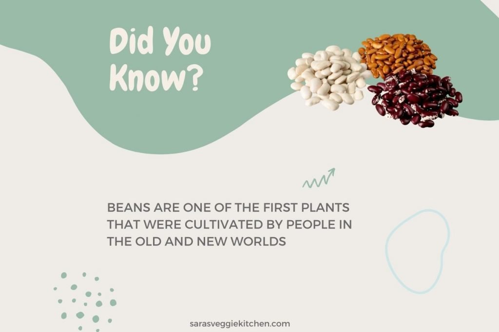 do vegetarians need to eat beans